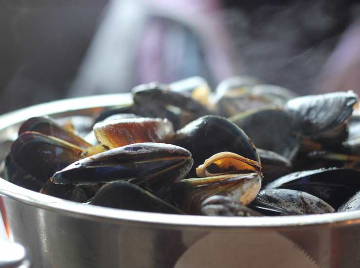 mussels 30042023 recipessprint