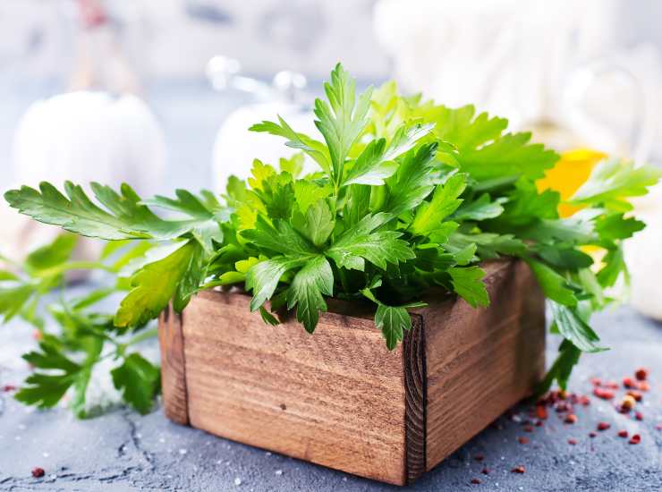 Trofie with parsley: immediately ready, they set the web on fire!  Photo by Recipe Sprint