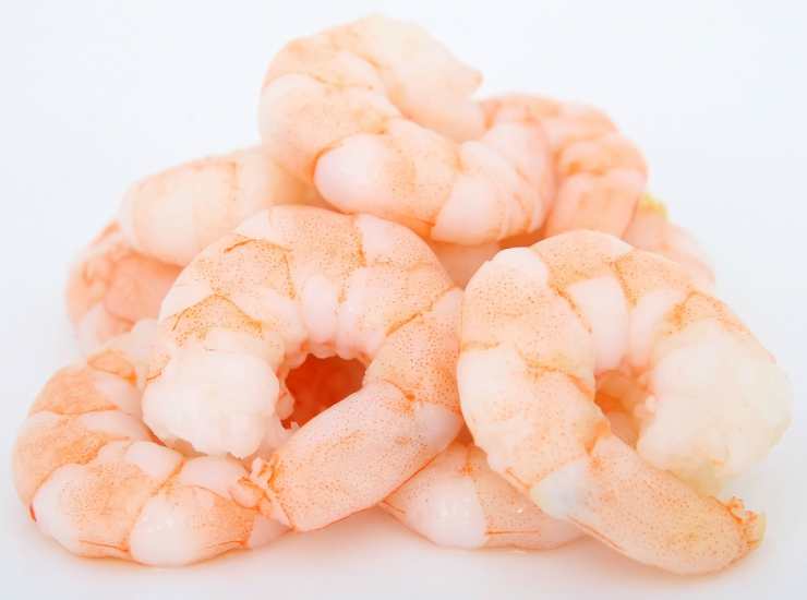 shrimp 02052023 recipe sprint