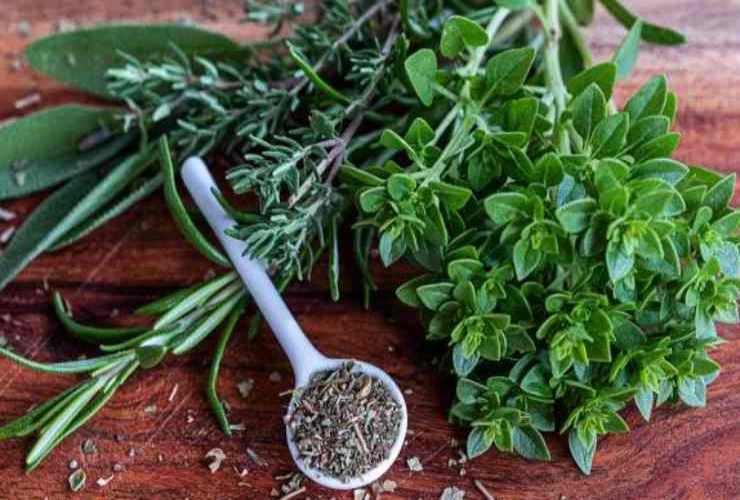 aromatic herbs recipesprint.it